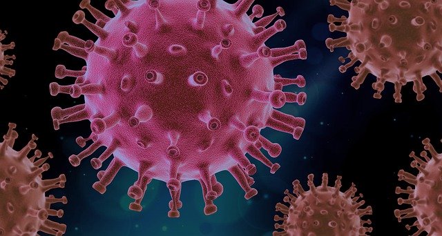 agents pathogènes et virus ce qu'il faut savoir